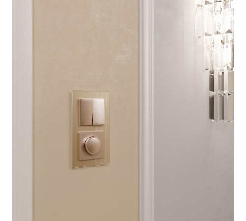 Выключатель двухклавишный проходной (шампань) W1122011