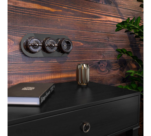 Выключатель на 4 положения двухклавишный коричневый ретро W5620014