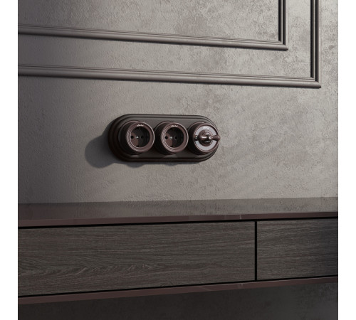 Выключатель на 4 положения двухклавишный коричневый ретро W5620014