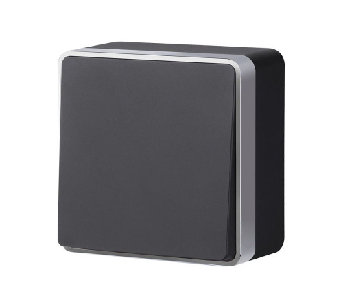 Выключатель одноклавишный Gallant черный с серебром W5010034 W5010034