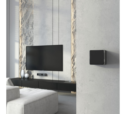 Выключатель одноклавишный Gallant черный с серебром W5010034 W5010034