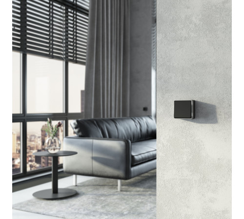 Выключатель одноклавишный Gallant черный с серебром W5010034 W5010034