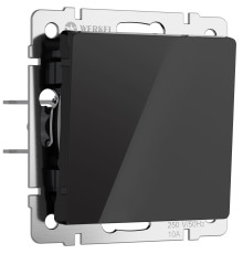 Выключатель одноклавишный проходной (черный акрил) W1112048