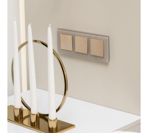 Выключатель одноклавишный проходной с подсветкой (шампань рифленый) W1112110