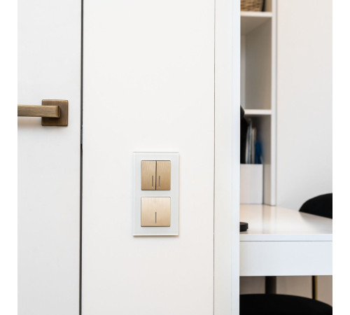 Выключатель одноклавишный проходной с подсветкой (шампань рифленый) W1112110