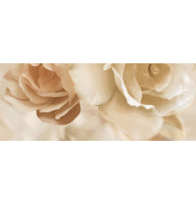 Панно Ceradim Rosario B 20х50 см КПН17RosarioB