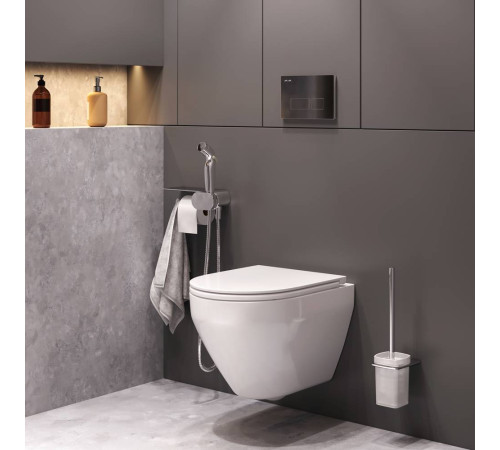 Комплект подвесной унитаз AM.PM FlashClean с гигиеническим душем CK70H1003W