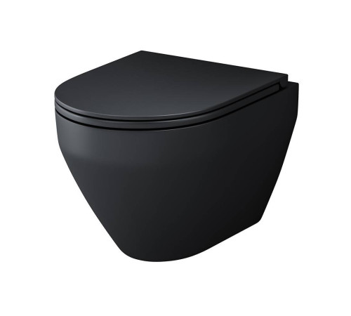 Комплект подвесной унитаз AM.PM FlashClean с гигиеническим душем черный CK70H1103B