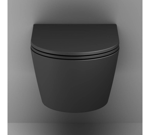 Унитаз подвесной AM.PM Func FlashClean с сиденьем микролифт матовый C8F1701MBSC