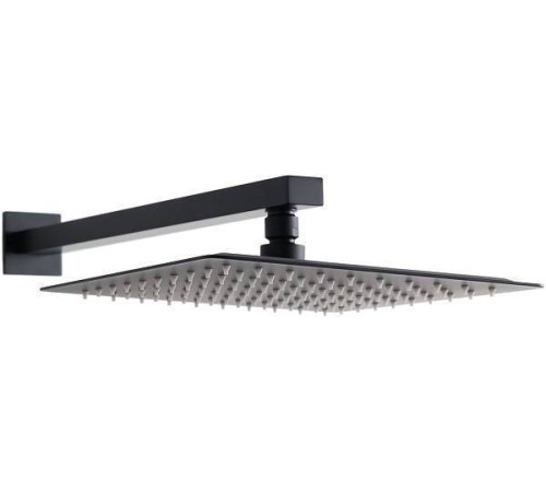 Верхний душ Allen Brau Infinity черный матовый 5.21019-31