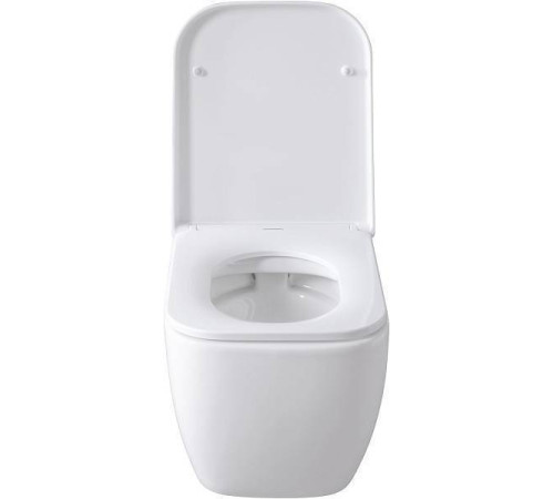 Унитаз подвесной Allen Brau Infinity безободковый 36x51x35 см белый 4.21004.20