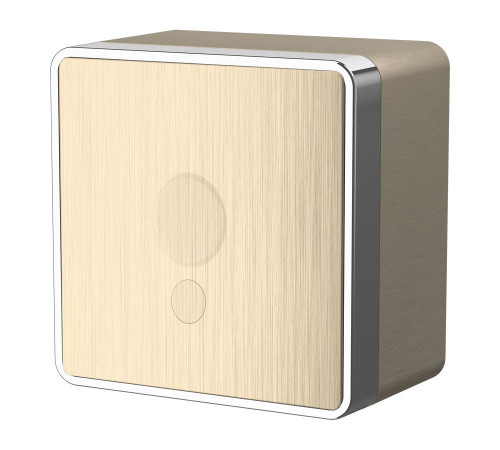 Вывод кабеля Gallant шампань рифленый W5050210