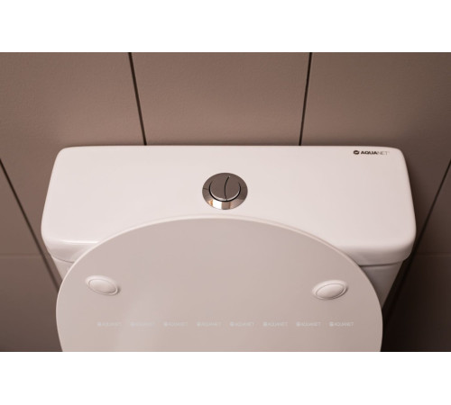 Чаша унитаза напольного Aquanet Cetus Rimless сиденье Slim Soft Close CETUS-C1