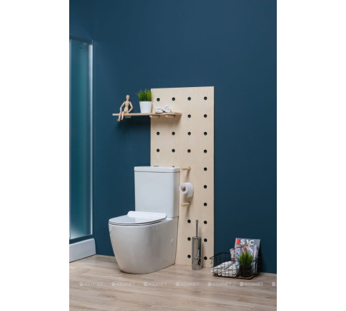 Чаша унитаза напольного Aquanet Cetus Rimless сиденье Slim Soft Close CETUS-C1