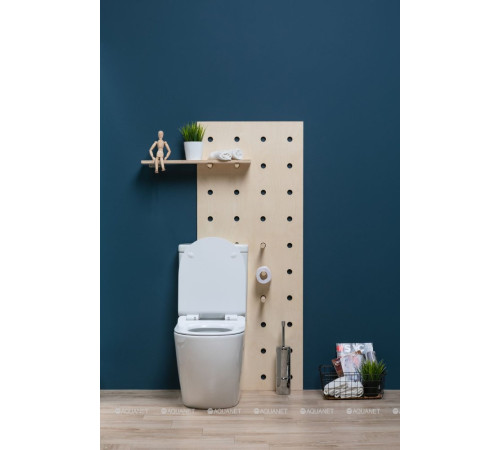 Чаша унитаза напольного Aquanet Cetus Rimless сиденье Slim Soft Close CETUS-C1