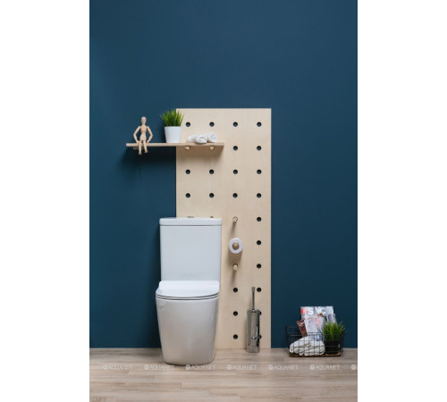 Чаша унитаза напольного Aquanet Cetus Rimless сиденье Slim Soft Close CETUS-C1