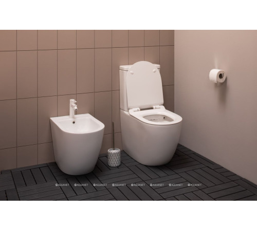 Чаша унитаза напольного Aquanet Cetus Rimless сиденье Slim Soft Close CETUS-C1