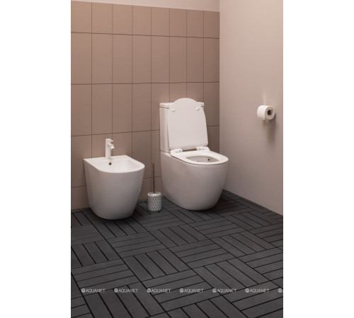 Чаша унитаза напольного Aquanet Cetus Rimless сиденье Slim Soft Close CETUS-C1