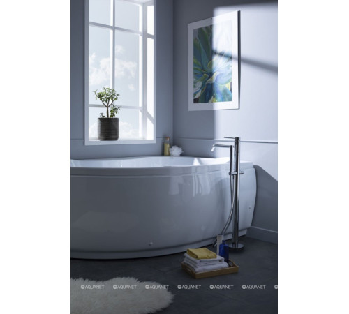 Ванна акриловая Aquanet Capri 170x110 R правая 00203922