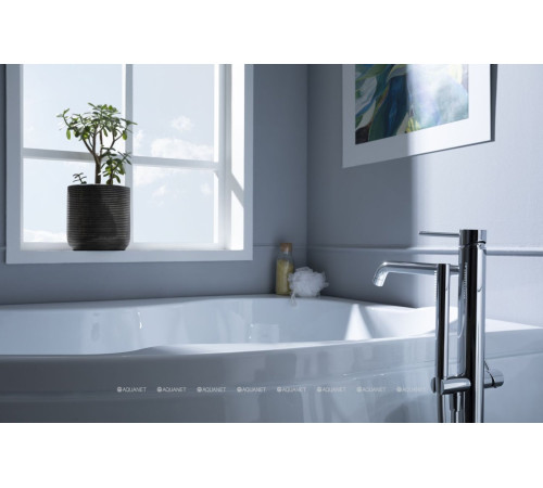 Ванна акриловая Aquanet Capri 170x110 R правая 00203922