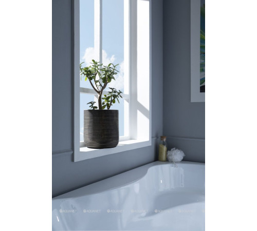 Ванна акриловая Aquanet Capri 170x110 R правая 00203922