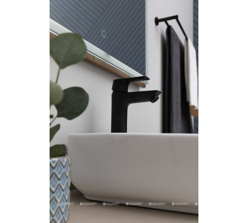 Держатель для полотенца Aquanet 60 см двухрядный черный матовый 4524DMB