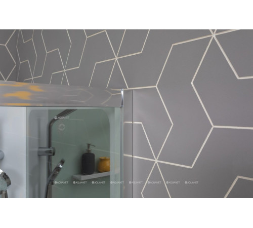 Душевая кабина Aquanet Passion R 2.0 900x900 мм 1/4 круга зеркало хром Набор 00263868