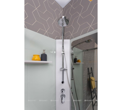 Душевая кабина Aquanet Passion R 2.0 900x900 мм 1/4 круга зеркало хром Набор 00263868