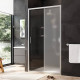 Душевая дверь в нишу AM.PM Gem 110х195 см раздвижная W90G-110-1-195MM
