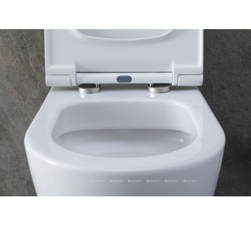 Унитаз подвесной Allen Brau PRIORITY 1 Rimless без сиденья 545x360 мм 4.31001.20