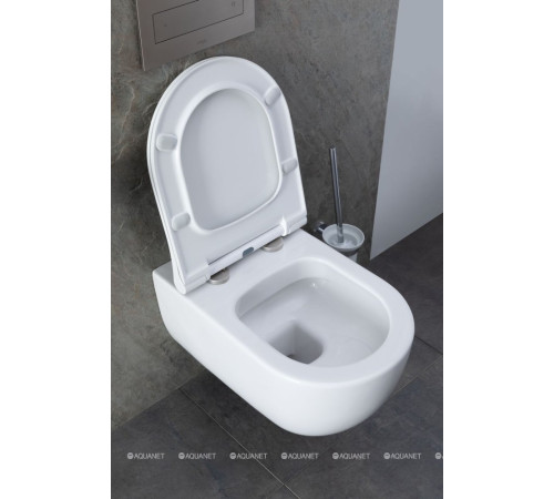 Унитаз подвесной Allen Brau PRIORITY 1 Rimless без сиденья 545x360 мм 4.31001.20