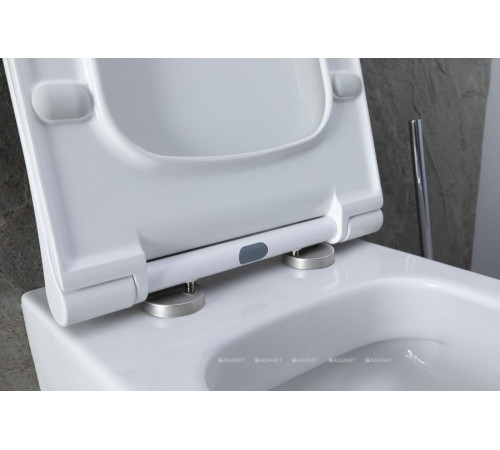 Унитаз подвесной Allen Brau PRIORITY 1 Rimless без сиденья 545x360 мм 4.31001.20