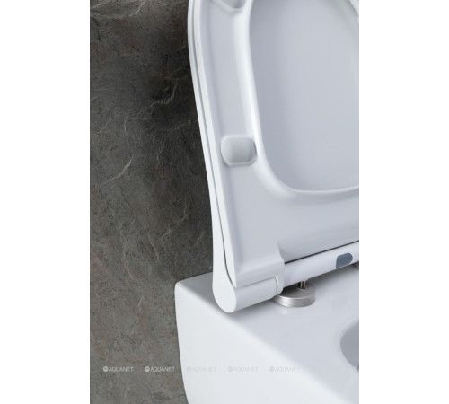 Унитаз подвесной Allen Brau PRIORITY 1 Rimless без сиденья 545x360 мм 4.31001.20