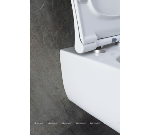 Унитаз подвесной Allen Brau PRIORITY 1 Rimless без сиденья 545x360 мм 4.31001.20