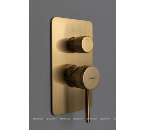 Смеситель встраиваемый для душа Allen Brau Priority 2 выхода Easy box золото 5.31011-GB