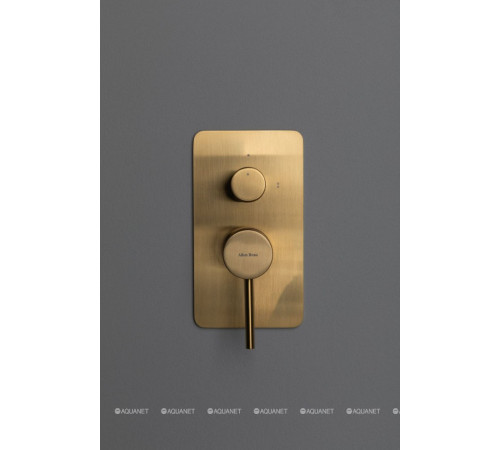 Смеситель встраиваемый для душа Allen Brau Priority 2 выхода Easy box золото 5.31011-GB