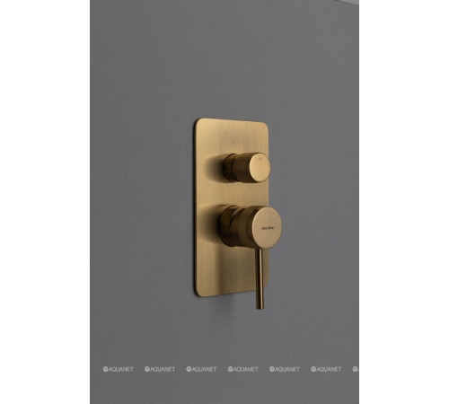 Смеситель встраиваемый для душа Allen Brau Priority 2 выхода Easy box золото 5.31011-GB