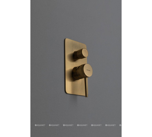 Смеситель встраиваемый для душа Allen Brau Priority 2 выхода Easy box золото 5.31011-GB