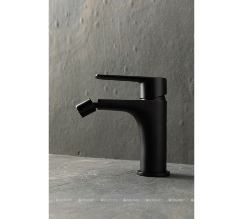 Смеситель для биде Allen Brau ECLIPSE 2.0 черный матовый 5.E1A10-31