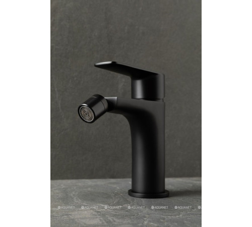 Смеситель для биде Allen Brau ECLIPSE 2.0 черный матовый 5.E1A10-31