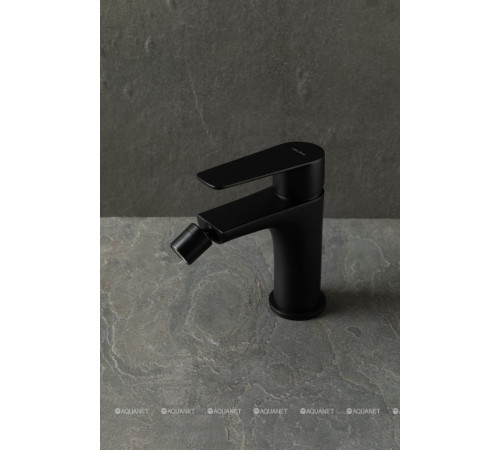 Смеситель для биде Allen Brau ECLIPSE 2.0 черный матовый 5.E1A10-31