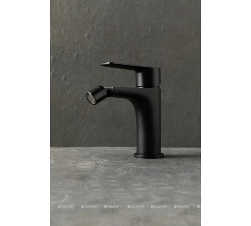 Смеситель для биде Allen Brau ECLIPSE 2.0 черный матовый 5.E1A10-31