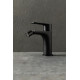 Смеситель для биде Allen Brau ECLIPSE 2.0 черный матовый 5.E1A10-31