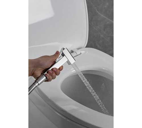 Гигиенический душ со смесителем Allen Brau Infinity с внутренней частью хром 5.21005-00