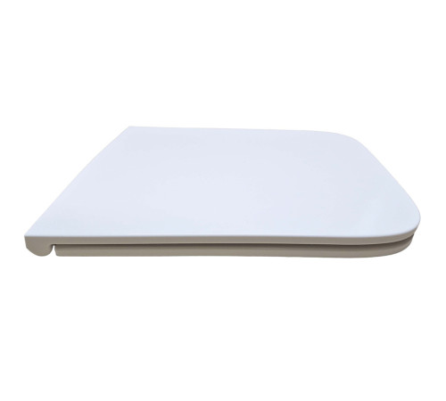 Сиденье для унитаза Aquanet AQ0008