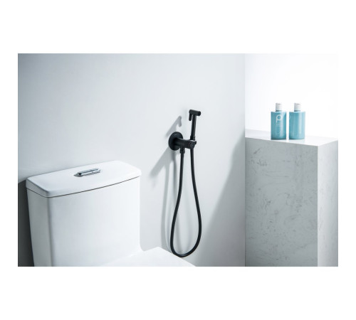 Комплект для гигиенического душа встроенный Aquatek Бетта Select матовый черный AQ1023MB