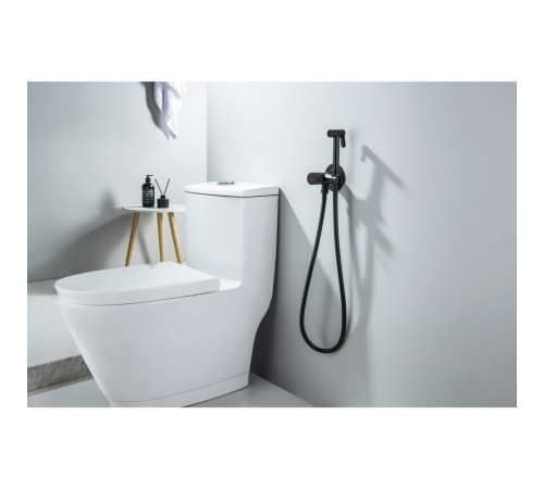 Комплект для гигиенического душа встроенный Aquatek Бетта Select матовый черный AQ1023MB