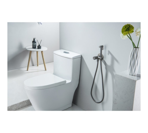 Комплект для гигиенического душа встроенный Aquatek Бетта Select оружейная сталь AQ1023BGM