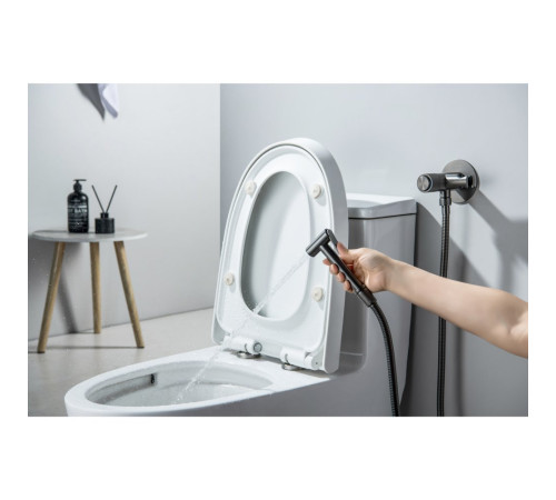 Комплект для гигиенического душа встроенный Aquatek Бетта Select оружейная сталь AQ1023BGM