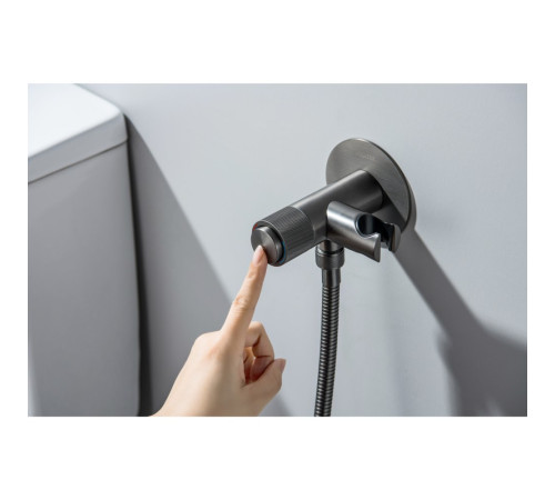 Комплект для гигиенического душа встроенный Aquatek Бетта Select оружейная сталь AQ1023BGM